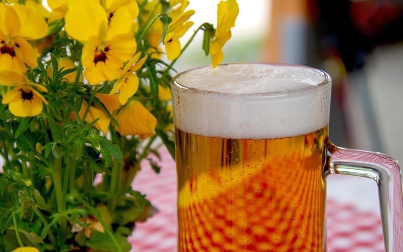 Craft Beer